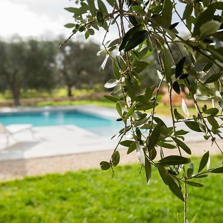 Dimora La Scaledda Bed & Breakfast Serranova Dış mekan fotoğraf